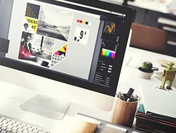 1000 website reviewed